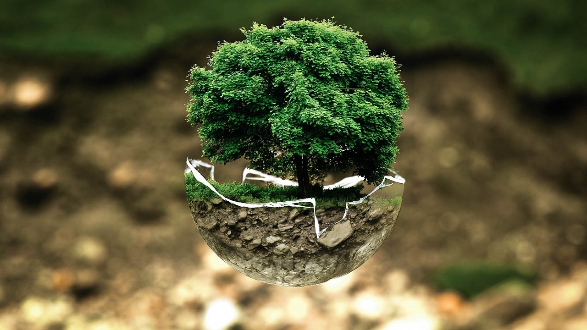 Why is ESG Becoming More Important?